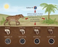 properties of carbon - Year 8 - Quizizz