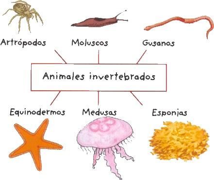 Biología del desarrollo - Grado 4 - Quizizz