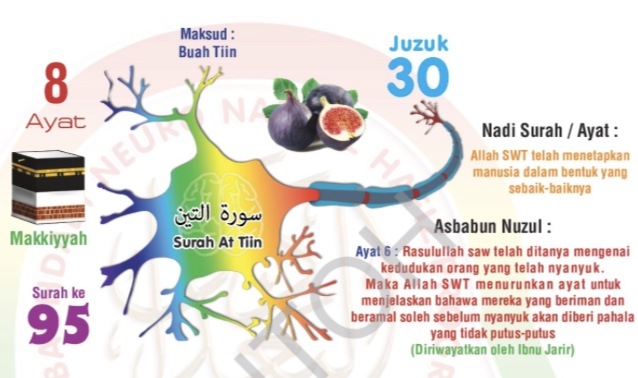 Surah At Tin Religious Studies Quizizz