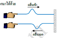 วิทยาศาสตร์กายภาพ - ระดับชั้น 3 - Quizizz