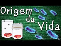 evolução e a árvore da vida - Série 9 - Questionário