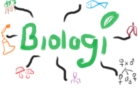 biologi perilaku - Kelas 12 - Kuis