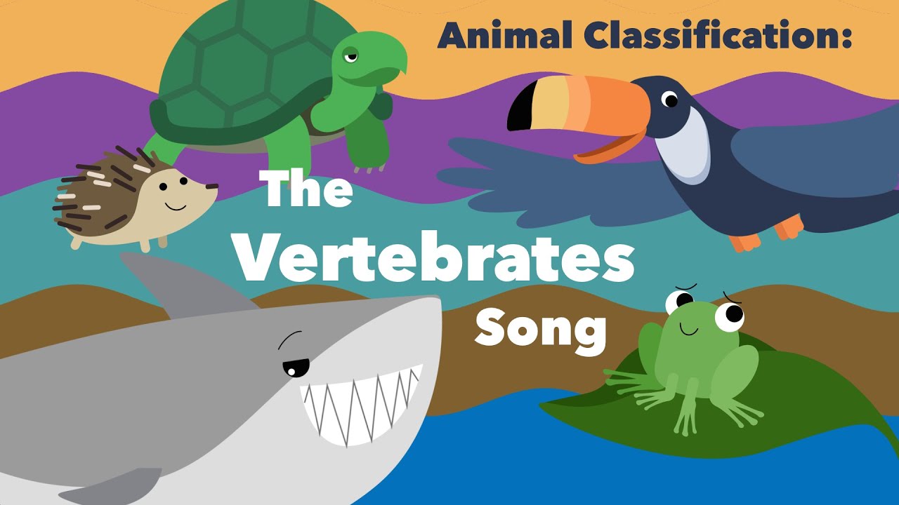 Vertebrates questions & answers for quizzes and tests - Quizizz