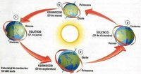 movimiento de proyectiles - Grado 4 - Quizizz