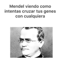 Vocabulario genético dominante y recesivo. - Grado 9 - Quizizz