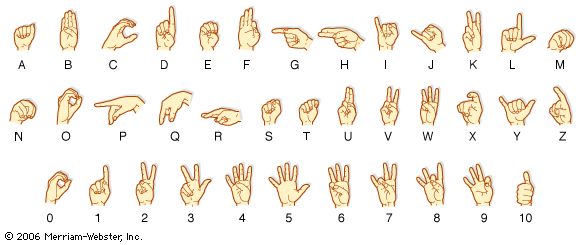 Sign Language - Class 5 - Quizizz