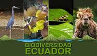 biodiversidad y conservación - Grado 3 - Quizizz