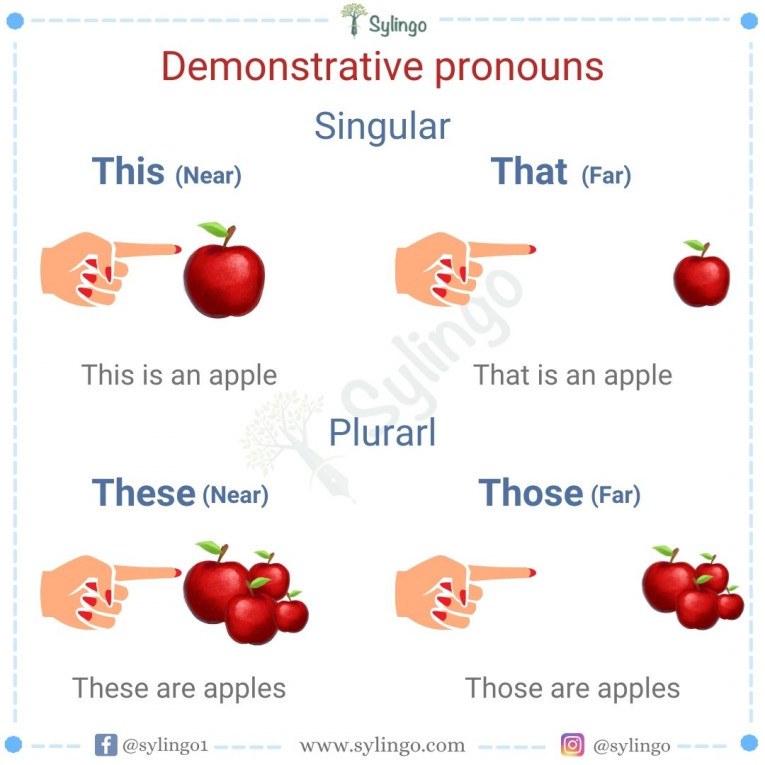 Demonstrative Pronouns Flashcards - Quizizz