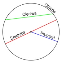 koła - Klasa 8 - Quiz