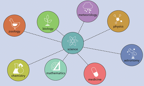 Science and Technology | Quizizz