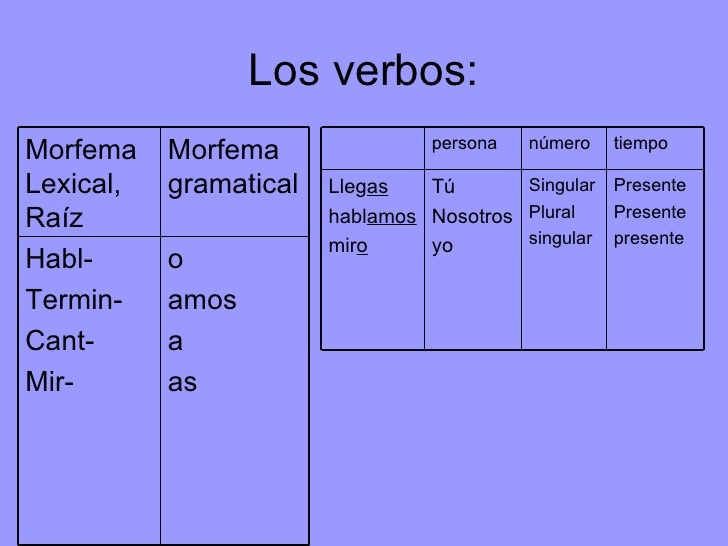 EL VERBO | World Languages - Quizizz