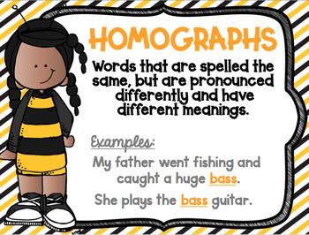 (4) Activity 8: Homographs