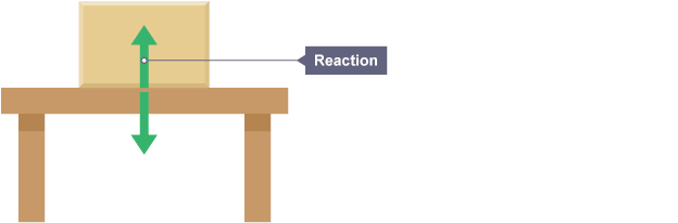 Forces and Interactions - Year 10 - Quizizz