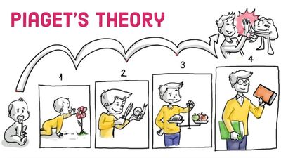 Piaget's 4 stages of development outlet chart
