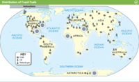 Environmental Science - Class 8 - Quizizz