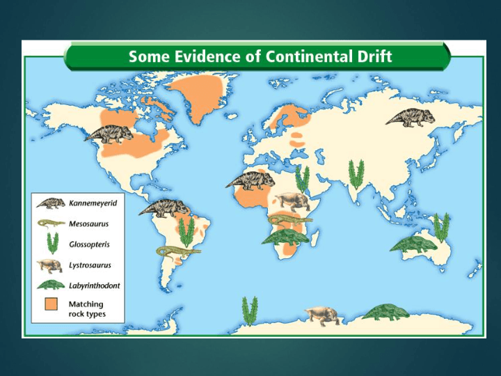 Continental Drift | Science - Quizizz