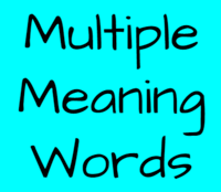 Multiple Syllable Words - Grade 3 - Quizizz