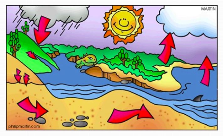 Water CYCLE 4th grade | Science Quiz - Quizizz