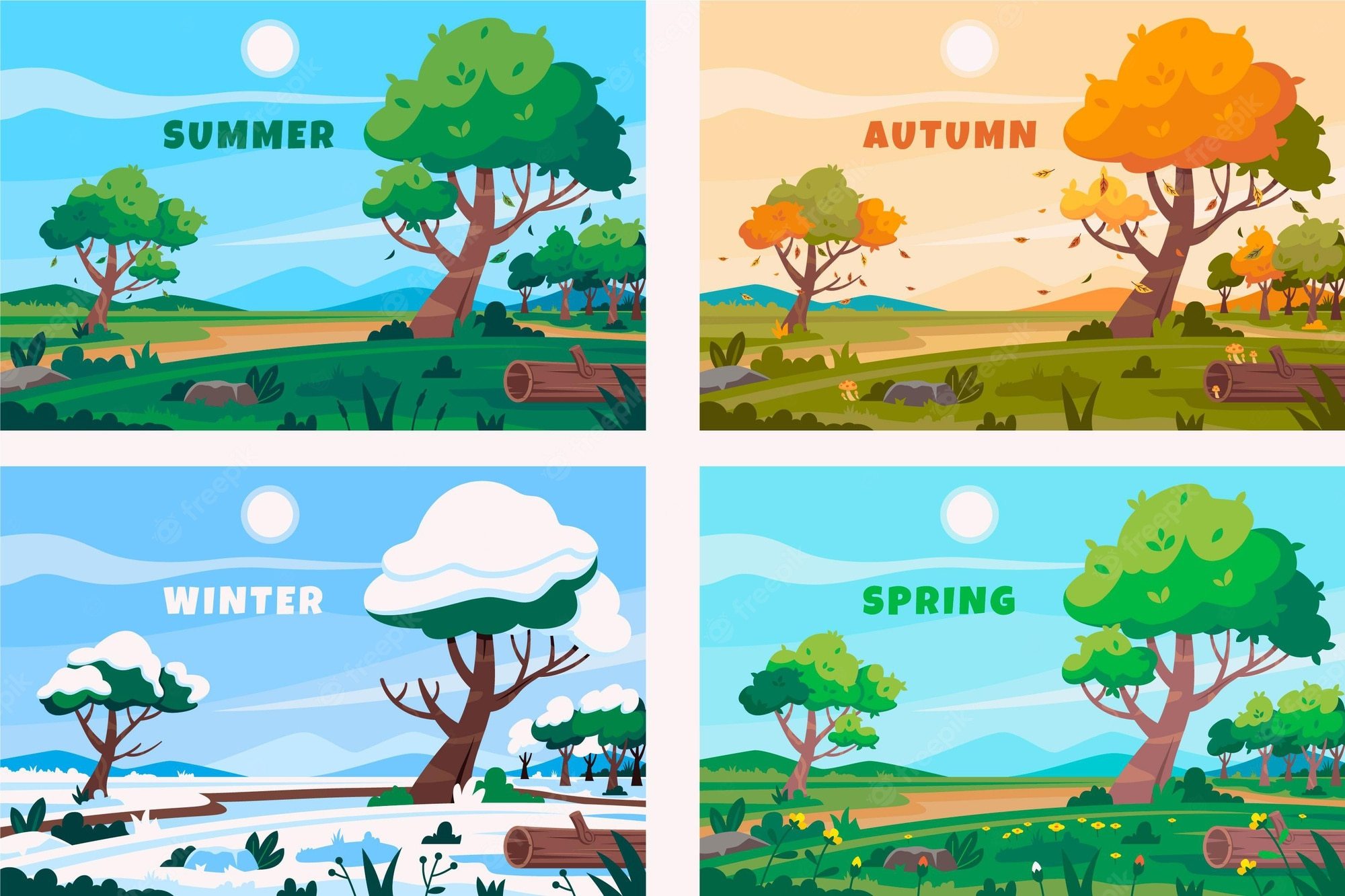 Weather & Seasons Flashcards - Quizizz