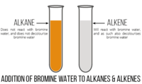 alkanes cycloalkanes and functional groups - Year 10 - Quizizz