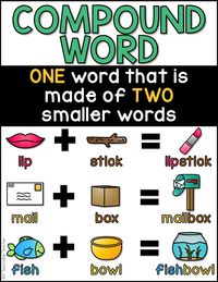 Compound Words Test English Quizizz