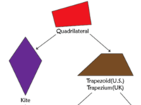 Trapezoids - Class 4 - Quizizz