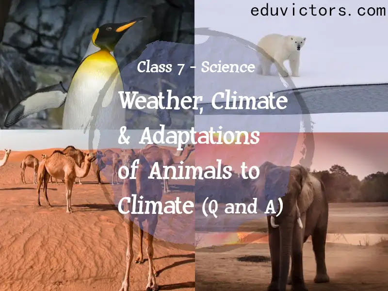 Weather, Climate and Adaptations of Animals to Climate-1