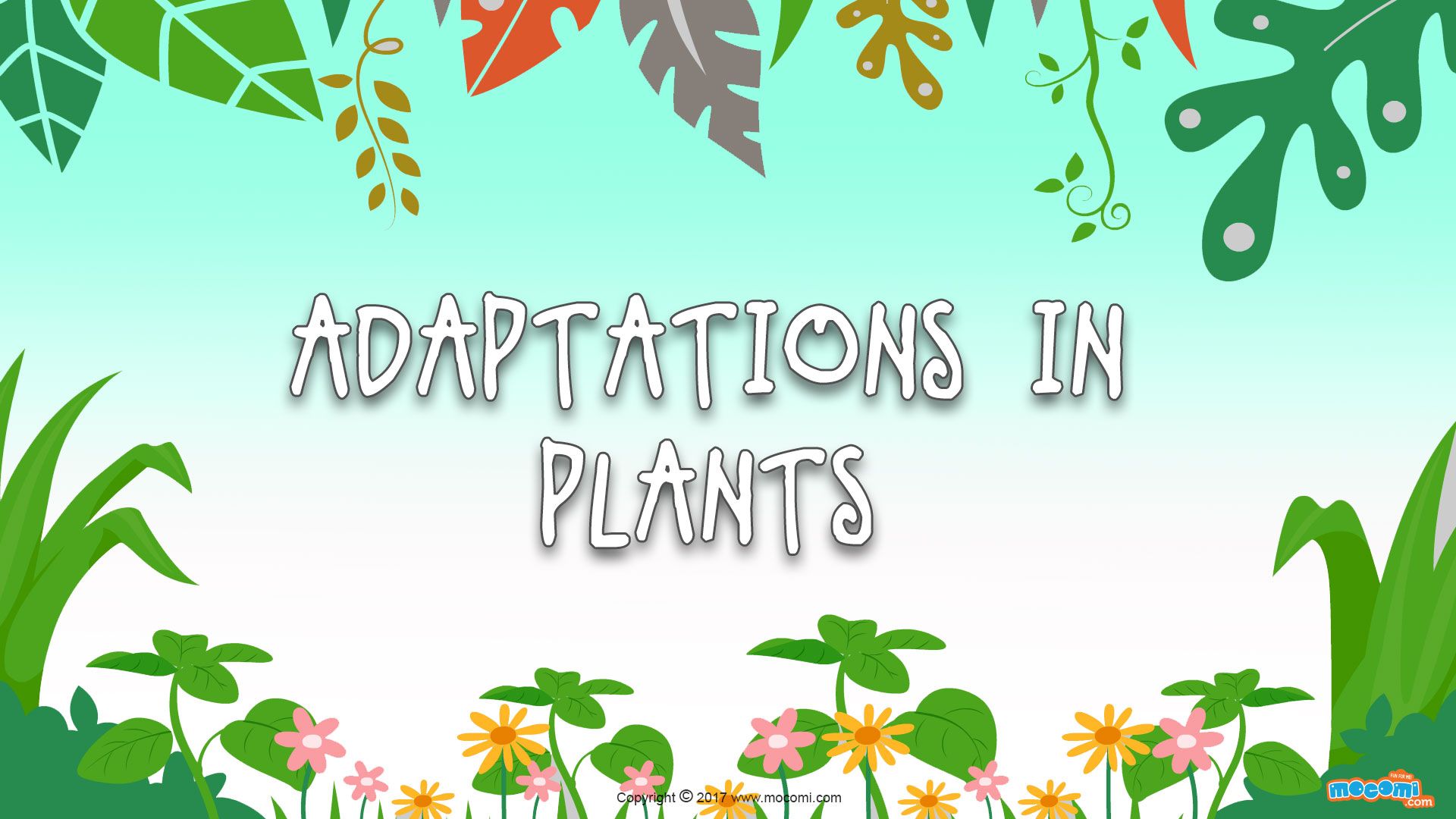 Adaptation Of Plants | Quizizz