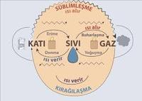 Mengidentifikasi Hal yang Berlawanan - Kelas 5 - Kuis