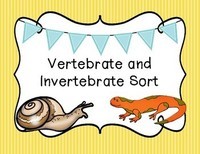 vertebrates and invertebrates - Year 4 - Quizizz