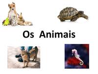 Animais - Série 2 - Questionário