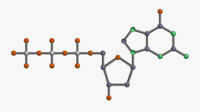 metabolizm - Klasa 10 - Quiz