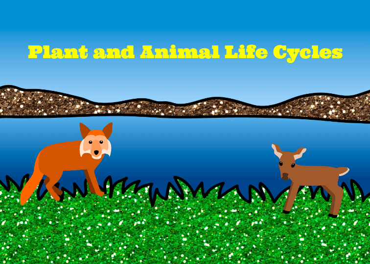 Life Cycles Plants And Animals Stemscopes Quizizz