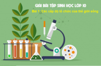 phát sinh loài - Lớp 10 - Quizizz