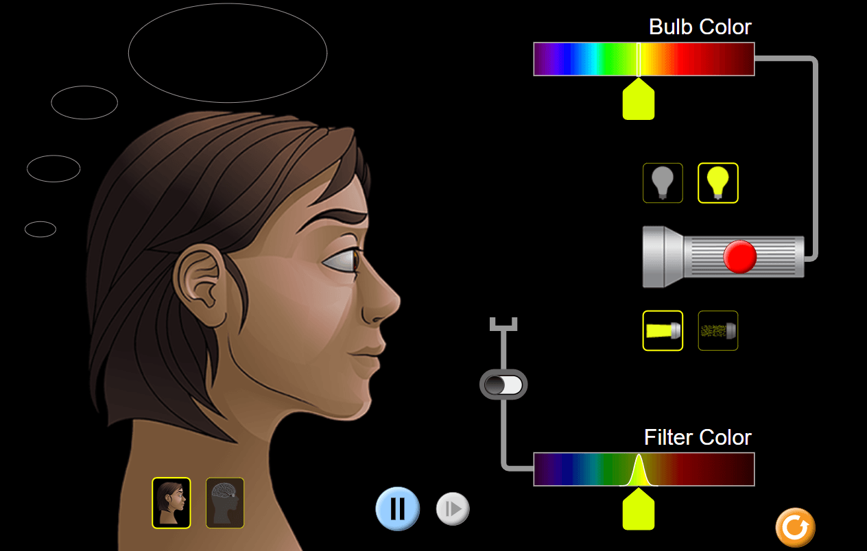 pHet Simulator: Color Vision Post Lab