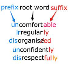 Determining Meaning Using Roots, Prefixes, and Suffixes - Year 8 - Quizizz