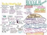 evolution and the tree of life - Grade 10 - Quizizz