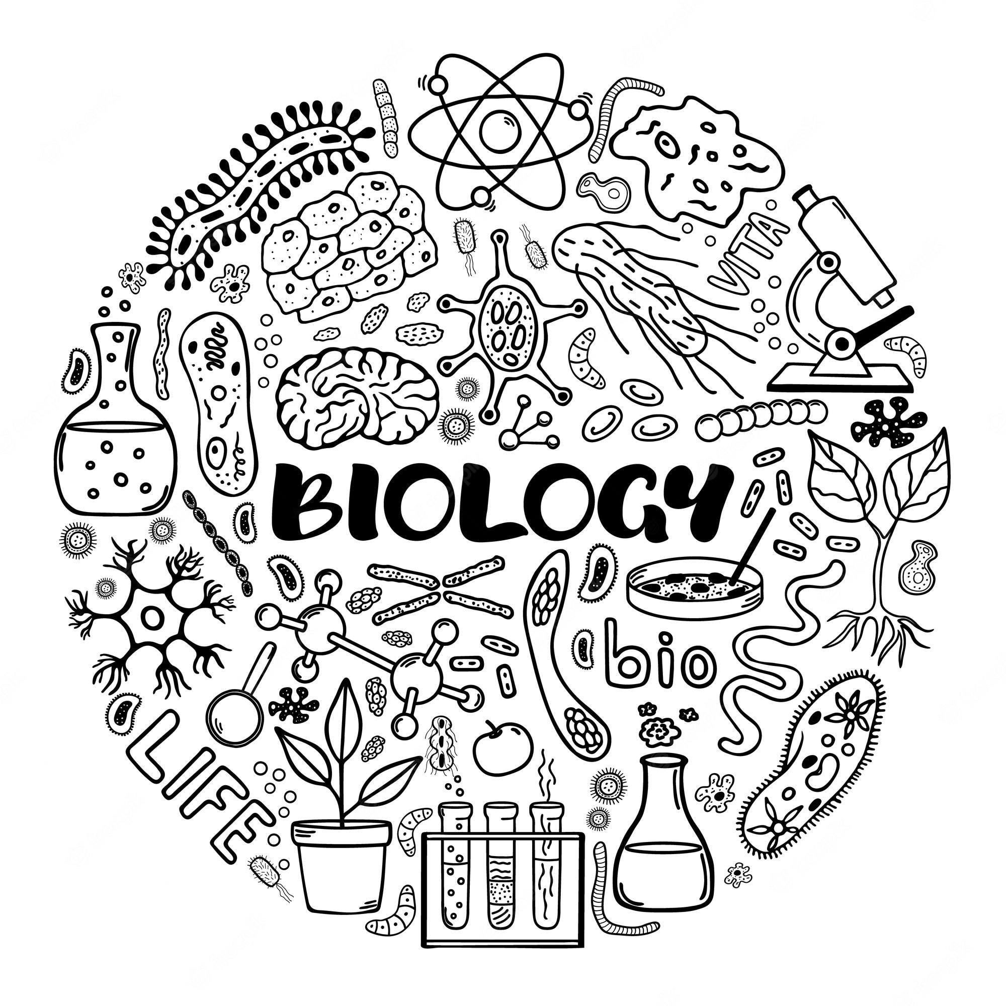 human biology - Year 9 - Quizizz