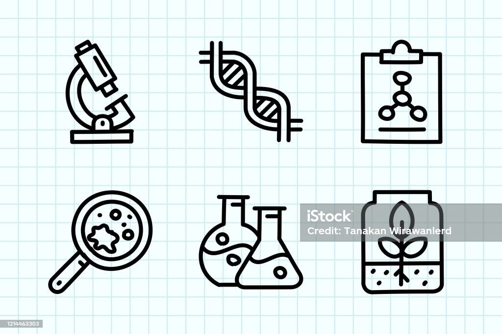 Biología del desarrollo Tarjetas didácticas - Quizizz