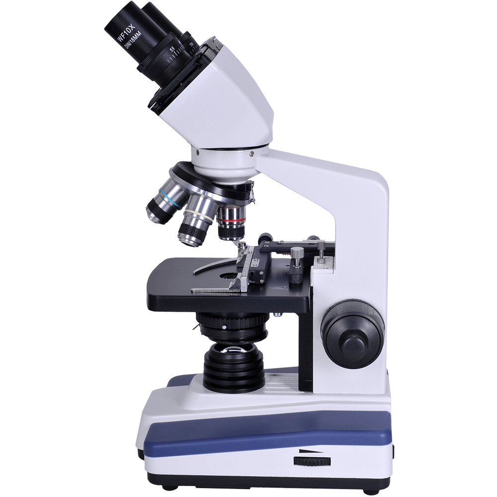 parts-of-a-microscope-other-quizizz