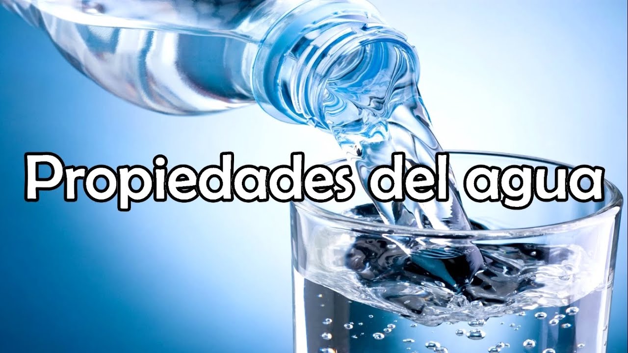 movimientos del agua del océano - Grado 6 - Quizizz