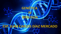 Mutación genética - Grado 9 - Quizizz