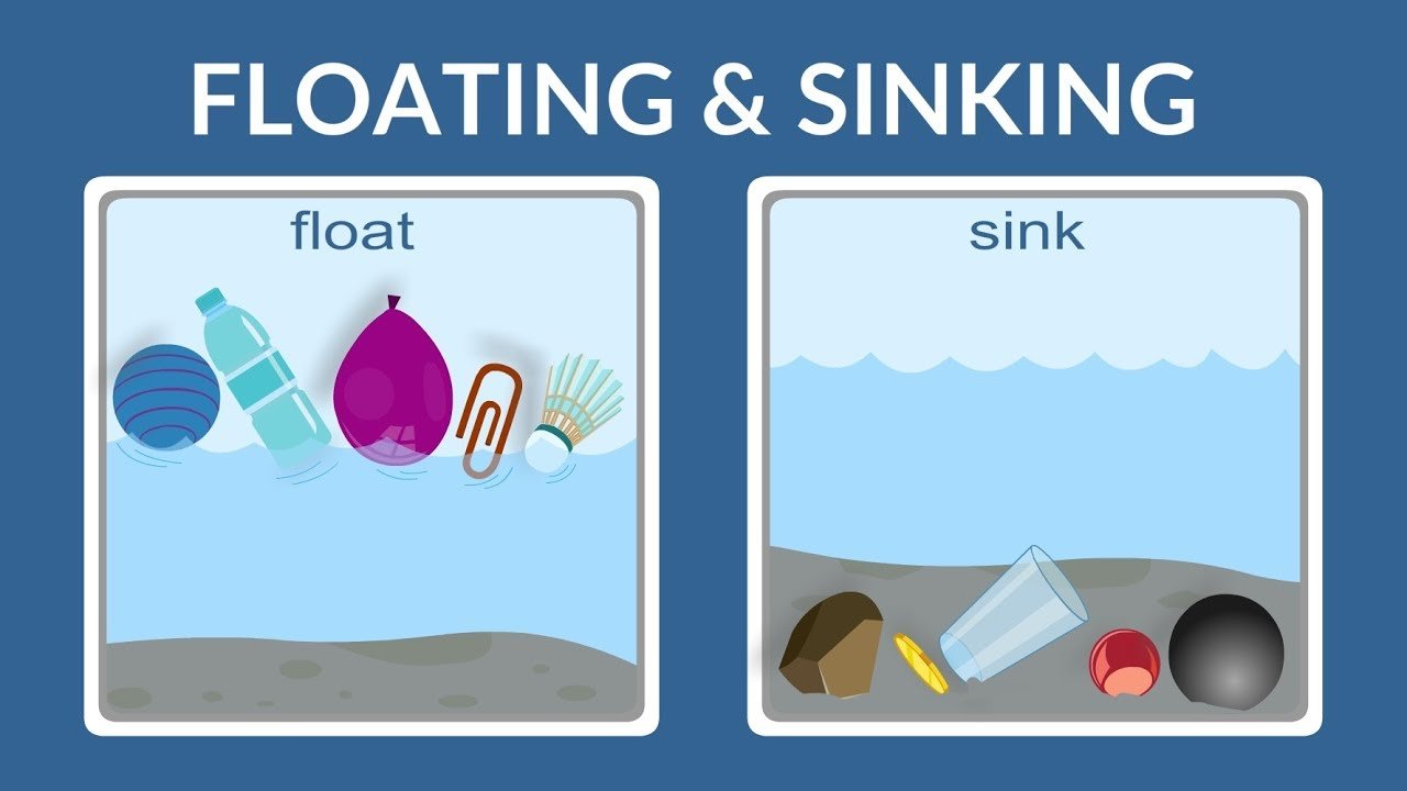 things that float and sink in the kitchen