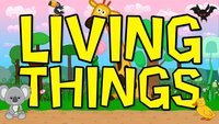 living and non living things Flashcards - Quizizz