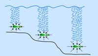 fluids - Class 6 - Quizizz