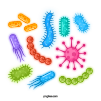 bacterias y arqueas - Grado 12 - Quizizz