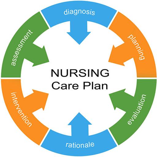 Nursing Process | 776 plays | Quizizz