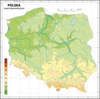 Rozumienie obrazu - Klasa 9 - Quiz