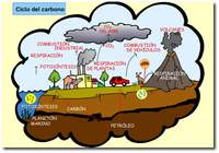 propiedades del carbono - Grado 10 - Quizizz