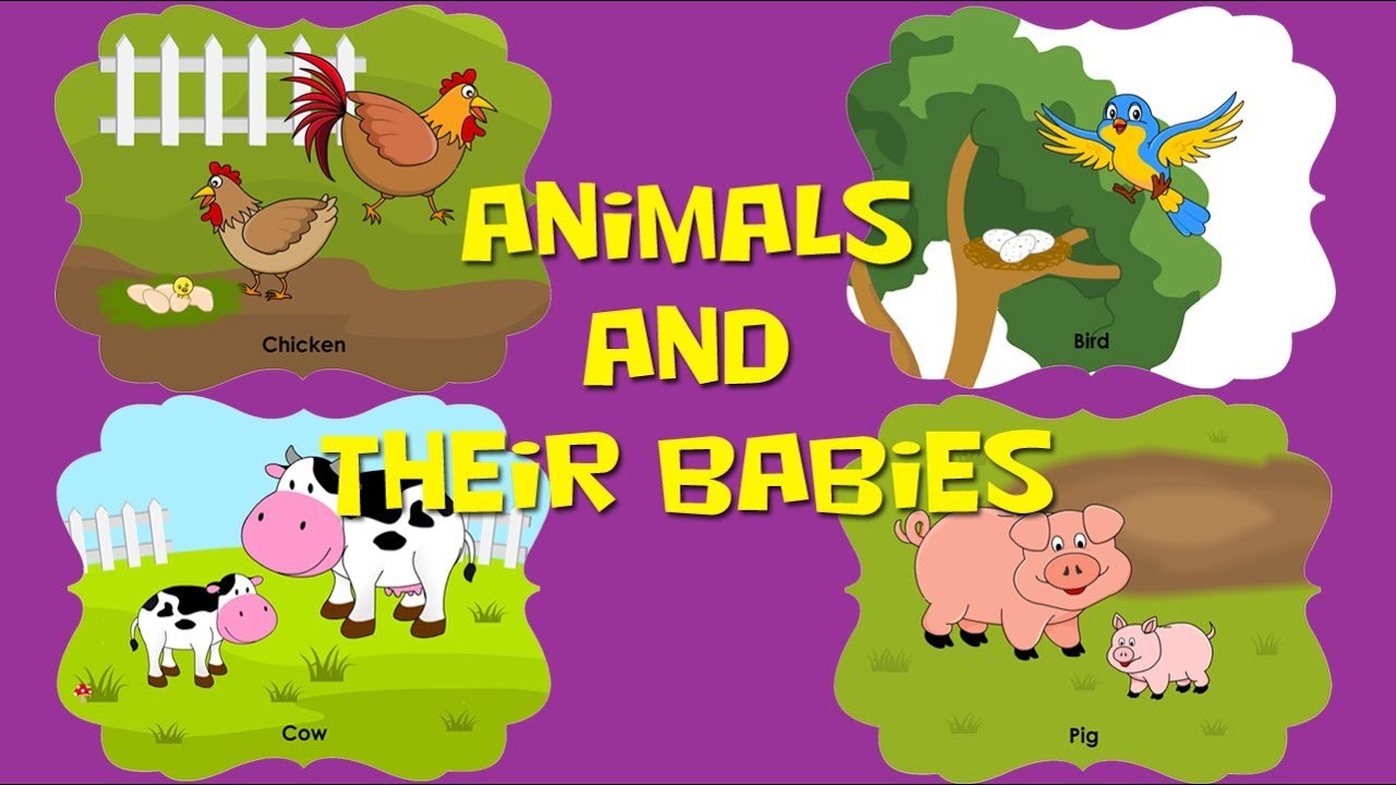 Animals and Its Babies | Quizizz